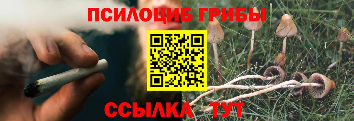 Славянск-на-Кубани  Псилоцибиновые грибы мицелий  Вход с VPN 